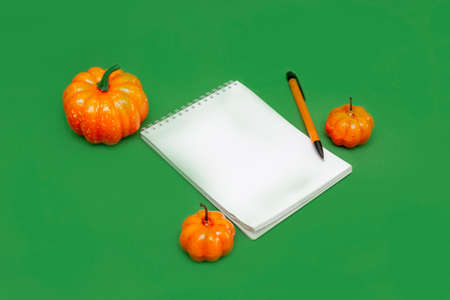 A paper notebook, a ballpoint pen and orange pumpkins on a green background. Top view. Copy space. Notepad for writing down autumn lists.の写真素材