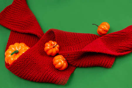 autumn still life orange pumpkins lie in a red knitted scarf on a green background. Copy space.の写真素材