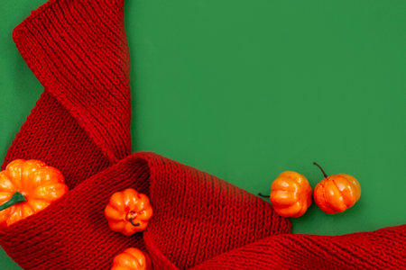 autumn still life orange pumpkins lie in a red knitted scarf on a green background. Copy space.の写真素材
