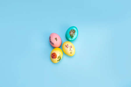 Bright multi-colored painted Easter eggs on a blue background. Easter.の写真素材