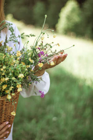 A girl in a white blouse holds a wicker basket with a bouquet of wild flowers. Summer walk in the field. midsection.の写真素材