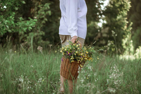A girl in a white blouse holds a wicker basket with a bouquet of wild flowers. Summer walk in the field. close-up of a woman's legs walking through a field with a basket of flowers.の写真素材