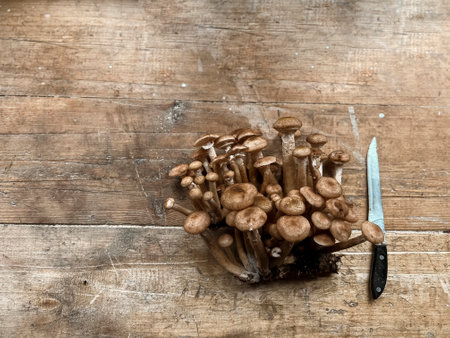 A lot of fresh mushrooms are lying on a wooden table next to a knife. Hiking in the forest for mushrooms. Preparation for canning mushrooms.の写真素材