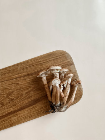 Mushrooms of honey mushrooms lie on a wooden oak board on a beige background. Bed autumn still life. Harvesting mushrooms. Flatley top view.の写真素材