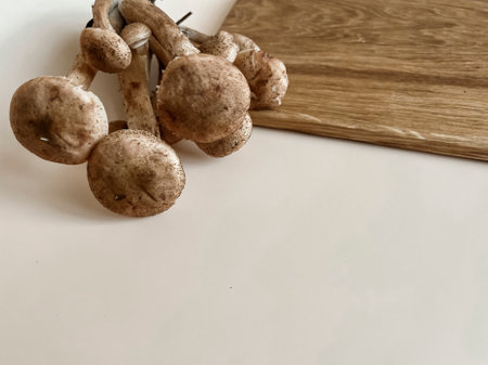 Mushrooms of honey mushrooms lie on a wooden oak board on a beige background. Autumn still life in pastel colors.の写真素材