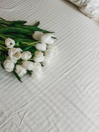 A large bouquet of white tulips is lying on the bed, on white bed linen. Birthday surprise, Valentine's Day, International Women's Day.の写真素材