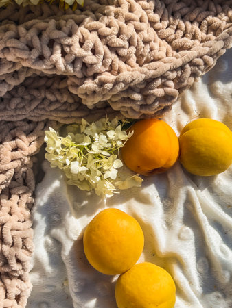 Bright orange apricots lie on a white and beige plaid. Outdoor picnic in summer.の写真素材