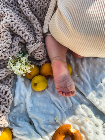 A small child is sitting on a white blanket among apricots and sheep. Outdoor picnic in the field in...