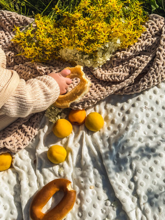 A small child is sitting on a white blanket among apricots and sheep. Outdoor picnic in the field in summer.の写真素材
