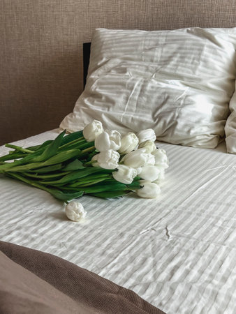 A large bouquet of white tulips is lying on the bed, on white bed linen. Birthday surprise, Valentine's Day, International Women's Day.の写真素材