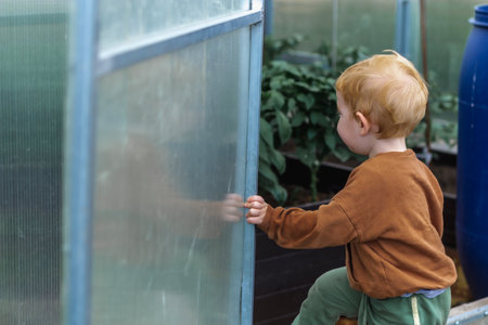 A little red-haired boy stands in the doorway of a polycarbonate greenhouse.の写真素材