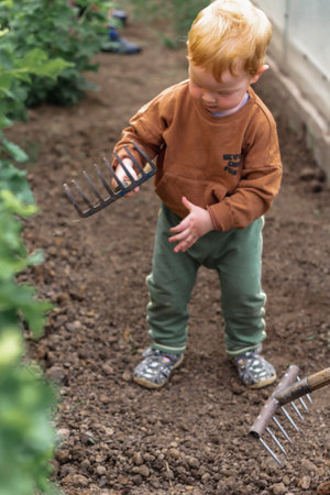 A little red-haired boy holds a rake in the garden, digging the ground. Summer in the village.の写真素材