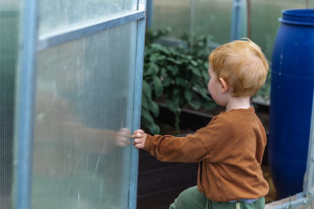 A little red-haired boy stands in the doorway of a polycarbonate greenhouse.の写真素材