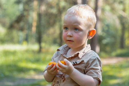 Cute handsome blond boy in beige shirt and shorts eating ripe orange apricots.