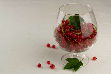 Red currant in a glass on light backgroundの写真素材