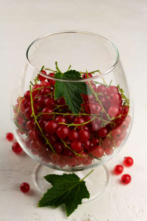 Red currant in a glass. Beverage concept. Cose up, vertical orientationの写真素材