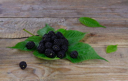 Fresh blackberry on green leaves on wooden background. Horizontal orientationの写真素材
