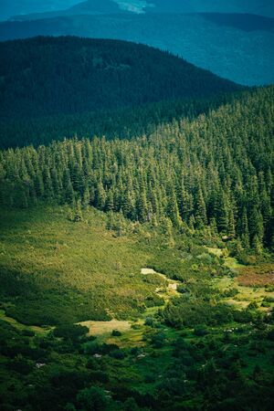 Beautiful landscape in Carpathian mountains, Ukraine Amazing summer view on different trees in cloudy mountains. Blue and grey sky above wooded hills on background. Carpathians, Hoverla, UAの写真素材