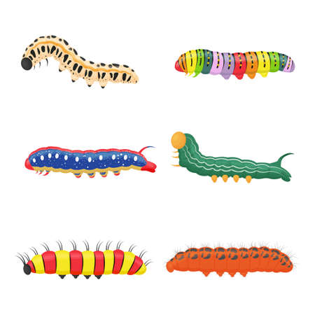 A bright colored set of different insect caterpillars. Different larvae of butterflies and beetles.Each object is isolated. Vector illustration on a white background.のイラスト素材