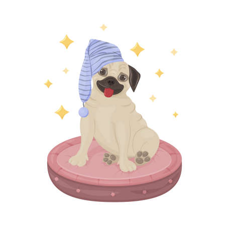 A cheerful pug sitting on a pink dog pillow in a nightcap. Cute children s illustration with a dog surrounded by stars. Picture print. Vector illustration.のイラスト素材
