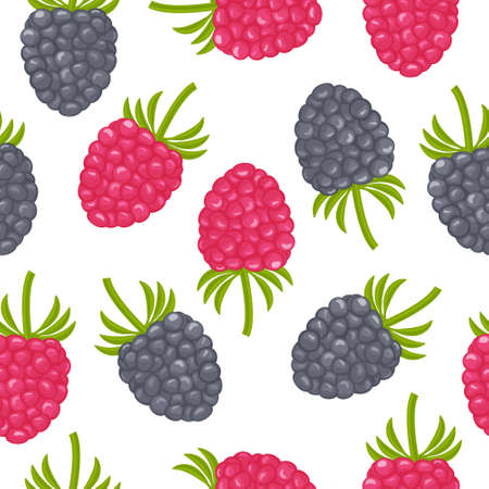 A bright autumn pattern consisting of juicy ripe strawberries, raspberries, blackberries of red and black color.のイラスト素材