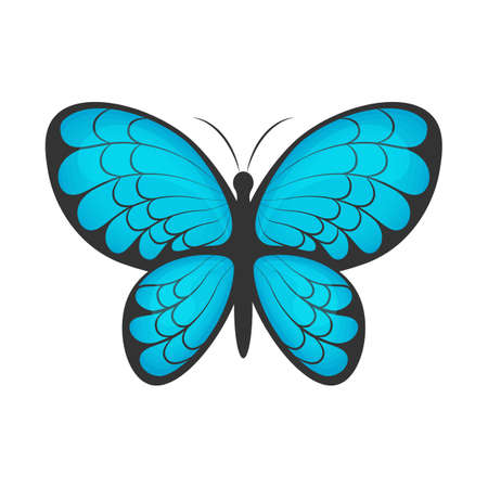 Butterfly. The image of a beautiful blue butterfly. A bright moth. Vector illustration isolated on a white backgroundのイラスト素材