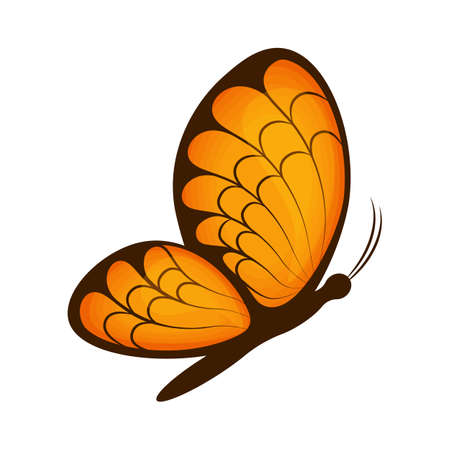 Butterfly. Image of a beautiful orange butterfly, side view. A bright moth. Vector illustration isolated on a white backgroundのイラスト素材