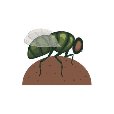 A green fly is sitting on a lump of manure .A flying insect on a turd. Image of a fly, side view. A sitting insect. Vector illustration isolated on a white backgroundのイラスト素材