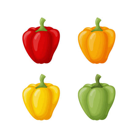 Bulgarian pepper. A set of Bulgarian sweet peppers of different colors. Sweet vegetable. Vector illustration on a white backgroundのイラスト素材