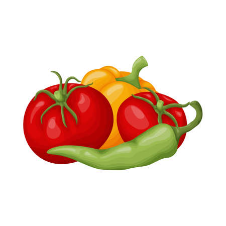 Ripe vegetables. Image of ripe vegetables, such as bell pepper, chili pepper and tomatoes. A set of vegetables. Vector illustration isolated on a white backgroundのイラスト素材