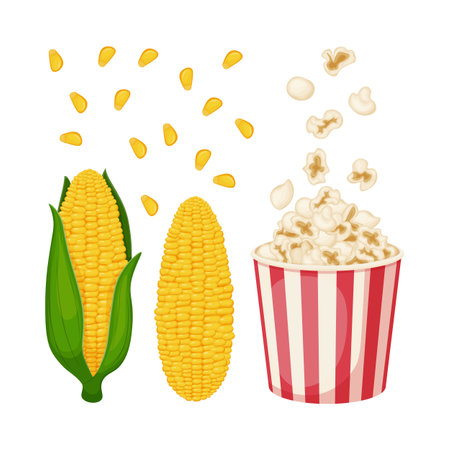 Corn. Image of corn with leaves. An ear of corn. Popcorn in a bucket. Fried corn. Vector illustrationのイラスト素材
