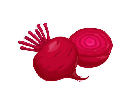 Beet. Red ripe beets. Ripe organic vegetable from the garden. Farm product. Sugar beet, vector illustration isolated on a white backgroundのイラスト素材
