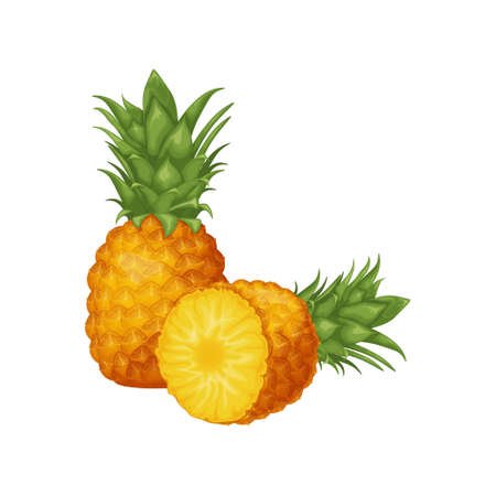Pineapple. Image of pineapple cut into pieces. Pieces of ripe pineapple. Sweet tropical fruit. vector illustration.のイラスト素材