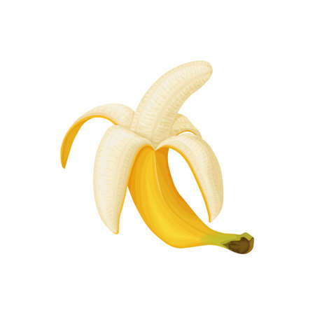 Banana. Image of a peeled banana. Ripe tropical fruit. Ripe banana. Vector illustration isolated on a white backgroundのイラスト素材