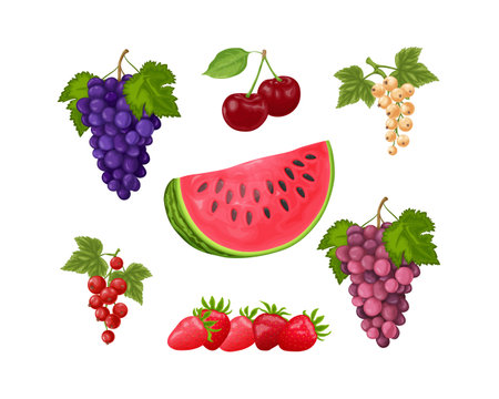 Fruit set. A large set of fruits, such as watermelon, grapes, cherries, red and white currants, and strawberries. Summer fruits. Vector illustrationのイラスト素材