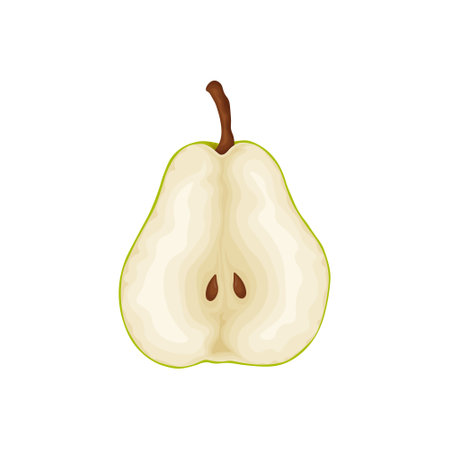 Pear. An image of a pear slice. Fresh garden fruit. A ripe pear. Vector illustration isolated on a white backgroundのイラスト素材
