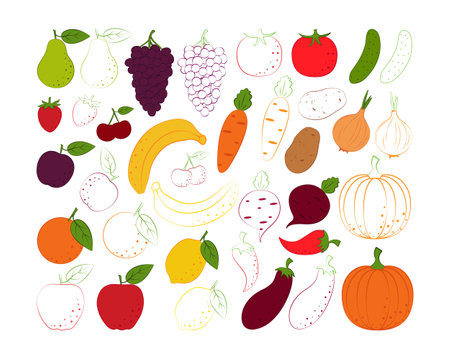 Fruit coloring set. Childrens coloring book with a picture of fruits. Such as pear, strawberry, grape, cherry and banana and also orange, lemon, plum and apple. Vector illustrationのイラスト素材