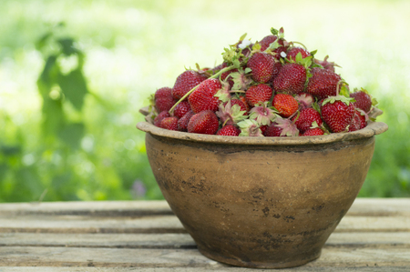 Old ceramic pot full of fresh red strawberries and clay on canvasの写真素材