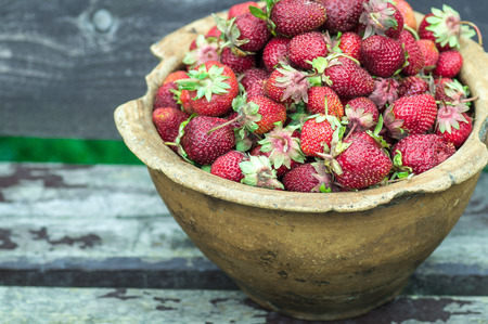 Closeup of old granny hands holding many fresh strawberries. Female adult showing a handful of red berries strawberries. Healhty food fruits diet.の写真素材