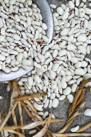 White kidney beans with red spots poursの写真素材