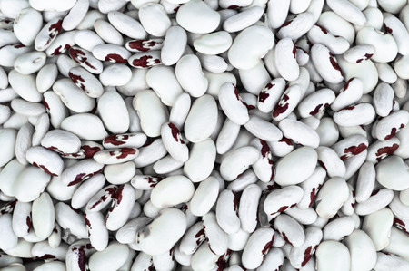 Pile Great Northern Beans isolated on white background. Also called white kidney beans, these beans have a smooth texture, and delicate flavor.の写真素材