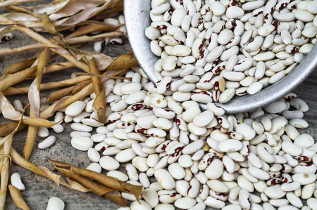 White kidney beans with red spots poursの写真素材