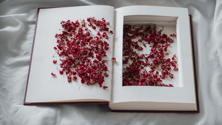 Vintage books with dried red flowers on a white bed. Concept Nostalgic and remembrance vintage background.の写真素材