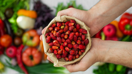 Harvest, Autumn. Panoramic collection of fresh healthy fruits and vegetables. Healthy eating background. Strawberries in the hands of men closeupの写真素材