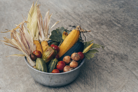 iron plate with autumn harvest farm vegetables and root crops. Healthy and organic food background....