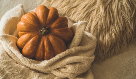 Big orange pumpkin on warm sweater. Pumpkin in the soft pullover. Thanksgiving Background - orange pumpkins. November weekend concept scene. Autumn mood. Autumn Winter time. Halloween Pumpkinの写真素材