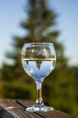 A glass with a water on the balcony overlooking the mountains. Mirror display in a glass. Display a conifer tree in a glass.の写真素材