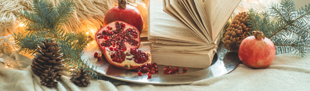 Cozy winter morning at home. Book and Pomegranate in a winter composition, Christmas trees, cones. Warm pillows and garlands on the background. Symbol of New Year and Christmas. Reading timeの写真素材