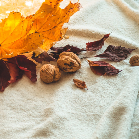 Beautiful autumn seasonal background. Autumn assortment - a walnut and yellow and red leaf leaves....