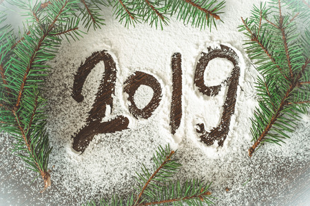 2019. Christmas tree needles on the white Background. Numbers are made of a pine tree branches. New Year Concept.の写真素材